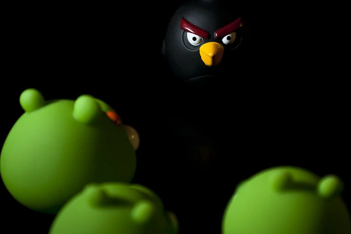 Un Vegetariano Evangelizador