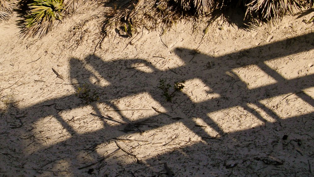 Family Shadows