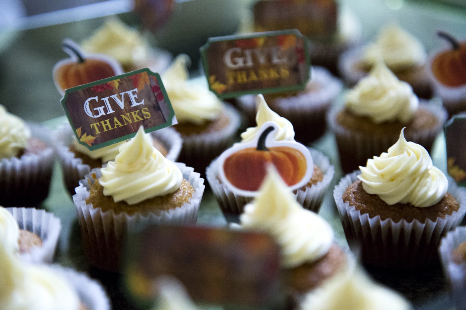 Thanksgiving Cupcakes